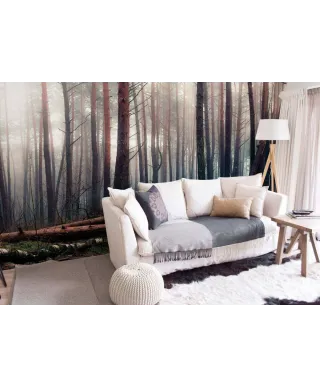 Mglisty las - fototapeta