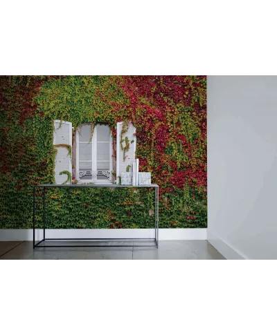 Kolorowy Bluszcz - fototapeta