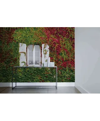 Kolorowy Bluszcz - fototapeta