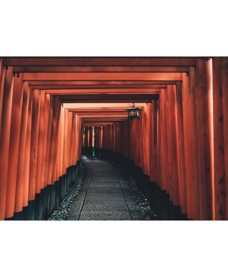 Drewniany Tunel - fototapeta