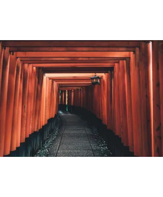 Drewniany Tunel - fototapeta