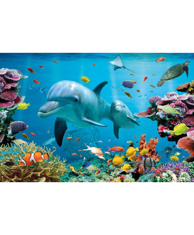 Tropikalny ocean - Delfiny - plakat