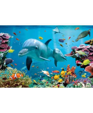Tropikalny ocean - Delfiny - plakat