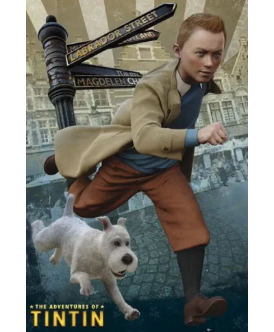 Tin Tin - Snowy - plakat