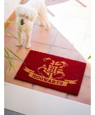 Harry Potter Hogwarts - wycieraczka