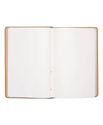 Frida Kahlo - notes A5