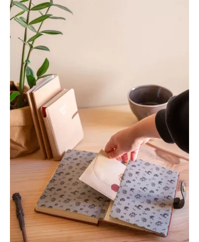 Harry Potter - notes z długopisem