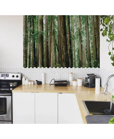 Crescent Woods - fototapeta