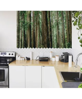 Crescent Woods - fototapeta