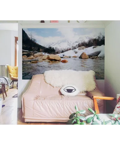 Górski strumyk - fototapeta