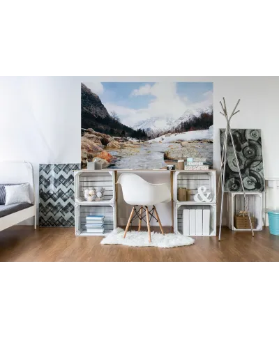 Górski strumyk - fototapeta