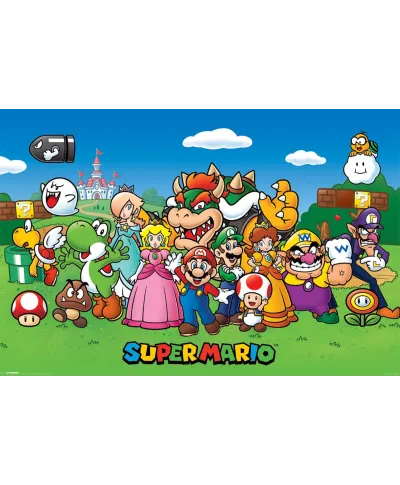 Super Mario Characters - plakat