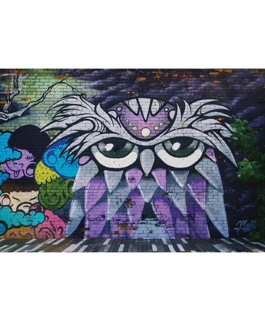 Kolorowa Sowa - fototapeta