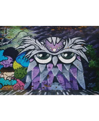 Kolorowa Sowa - fototapeta