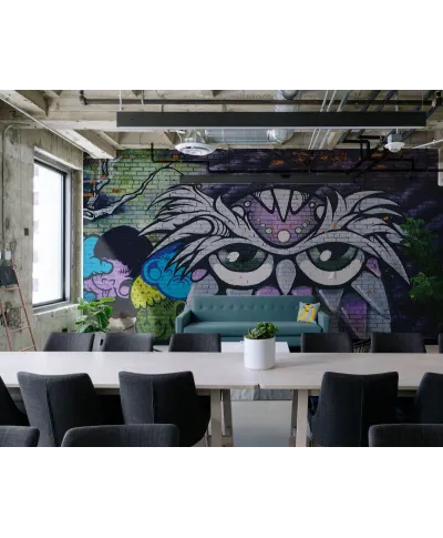 Kolorowa Sowa - fototapeta