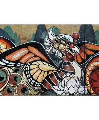 Kolorowy Ptak - fototapeta