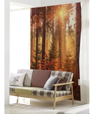 Jesienny las - fototapeta