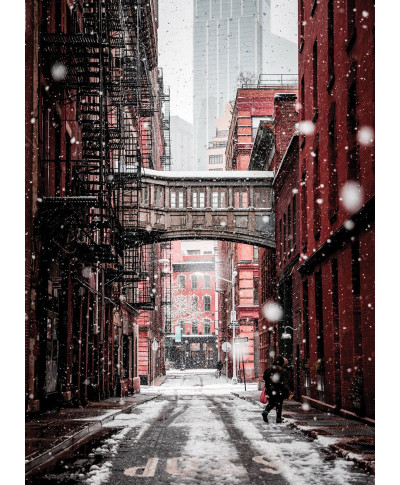 Zimowy Brooklyn - fototapeta