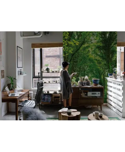 Zielona Droga - fototapeta