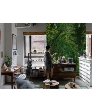 Zielona Droga - fototapeta