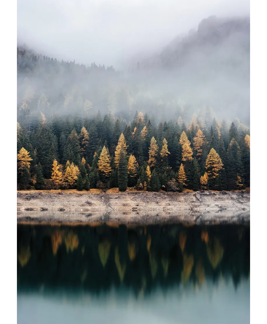 Mglista jesień - fototapeta