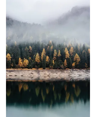 Mglista jesień - fototapeta