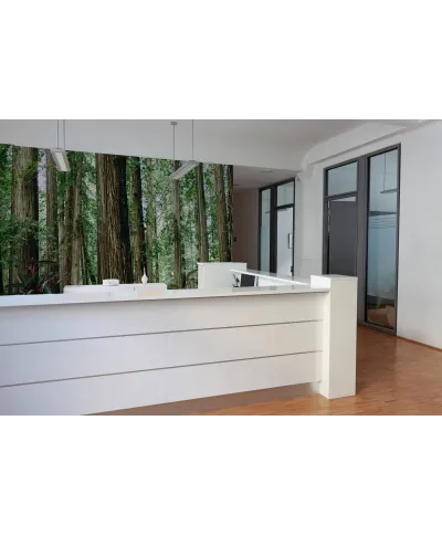 Gęsty Las - fototapeta