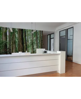 Gęsty Las - fototapeta