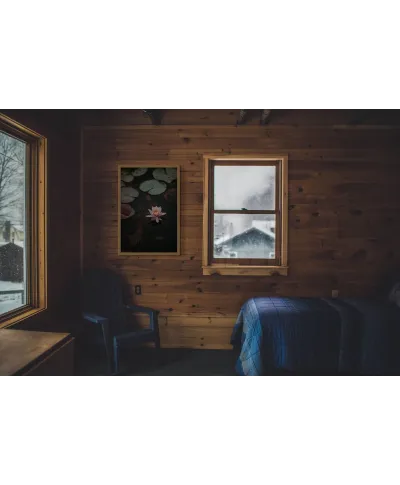 Kwiat Lotosu - plakat