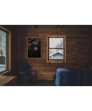 Kwiat Lotosu - plakat