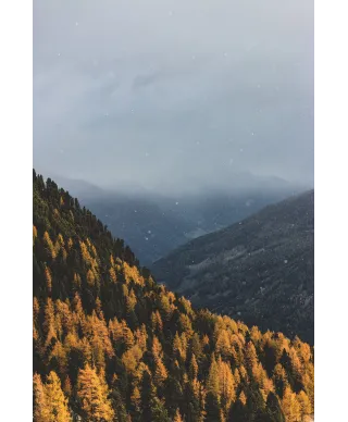 Jesienne Wzgórza - plakat