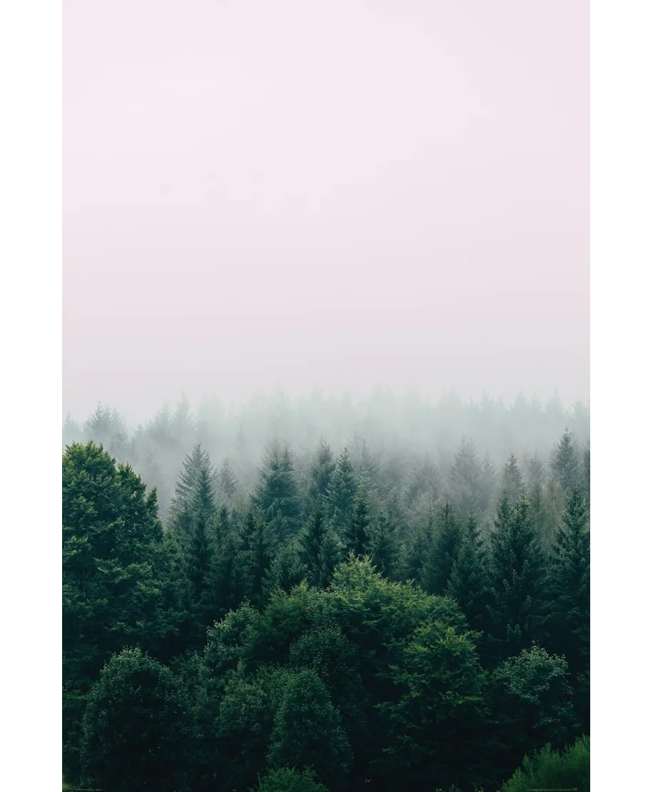 Zielony Las - plakat