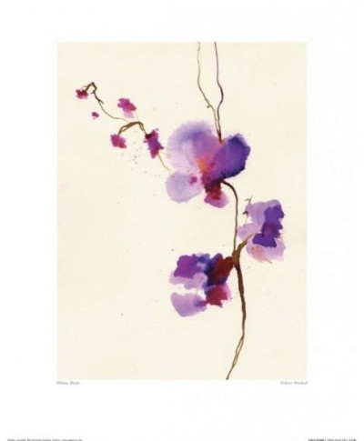 Orchidea, Storczyk - reprodukcja