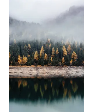 Mglista jesień - plakat