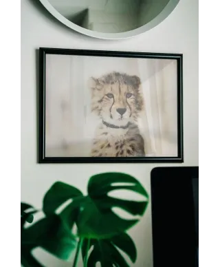 Gepard - plakat
