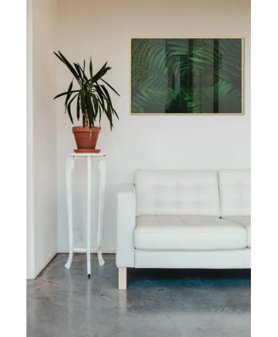 Liście Paproci - plakat