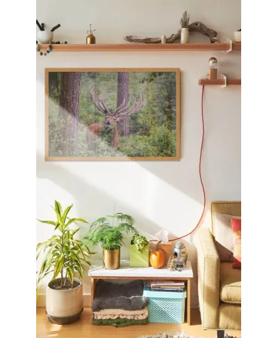 Jeleń w lesie - plakat