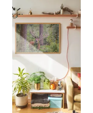 Jeleń w lesie - plakat