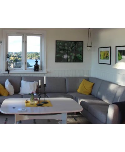 Droga Leśna - plakat