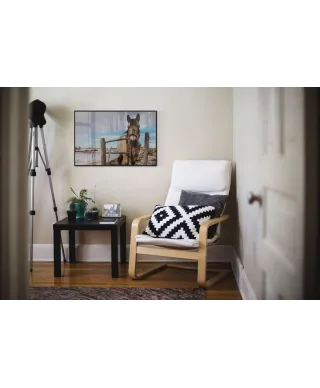 Koń w zagrodzie - plakat