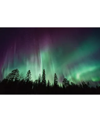 Światła Północy - plakat