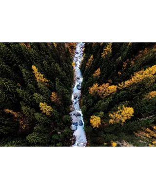 Leśny Potok - plakat