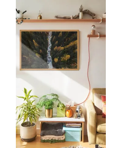 Leśny Potok - plakat