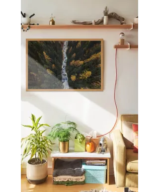 Leśny Potok - plakat