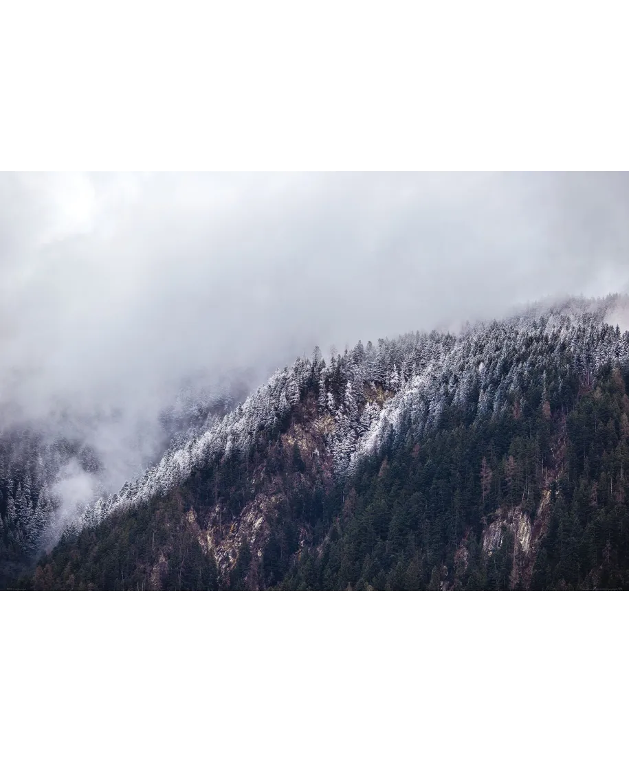 Zamglone Wzgórza - plakat