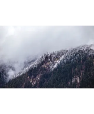 Zamglone Wzgórza - plakat