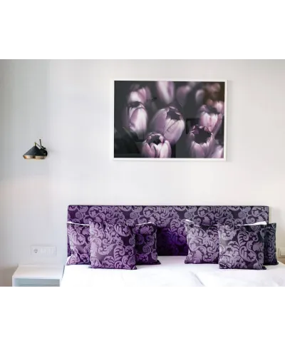 Fioletowe Tulipany - plakat