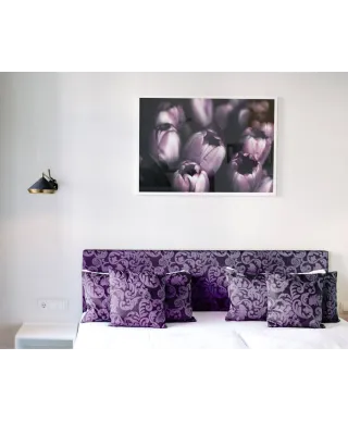 Fioletowe Tulipany - plakat