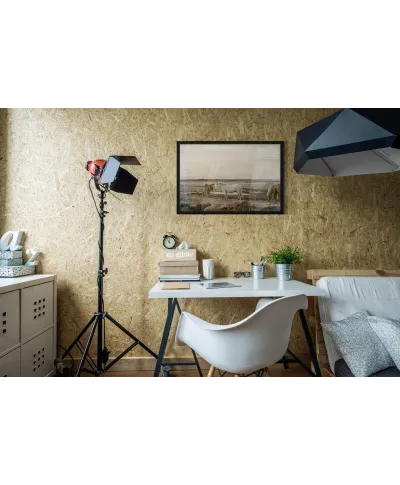 Konie na wybiegu - plakat