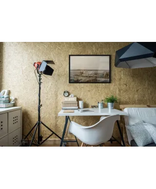 Konie na wybiegu - plakat